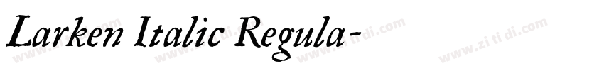 Larken Italic Regula字体转换